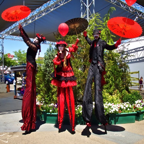 Red & Black with Parasols